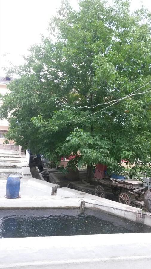 Alanlar Alabalik Ve Otel Ağlasun Esterno foto